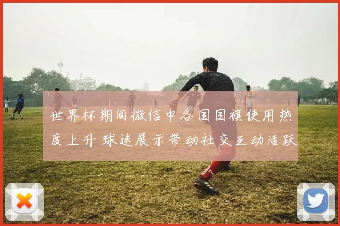 世界杯期间微信中各国国旗使用热度上升 球迷展示带动社交互动活跃增长